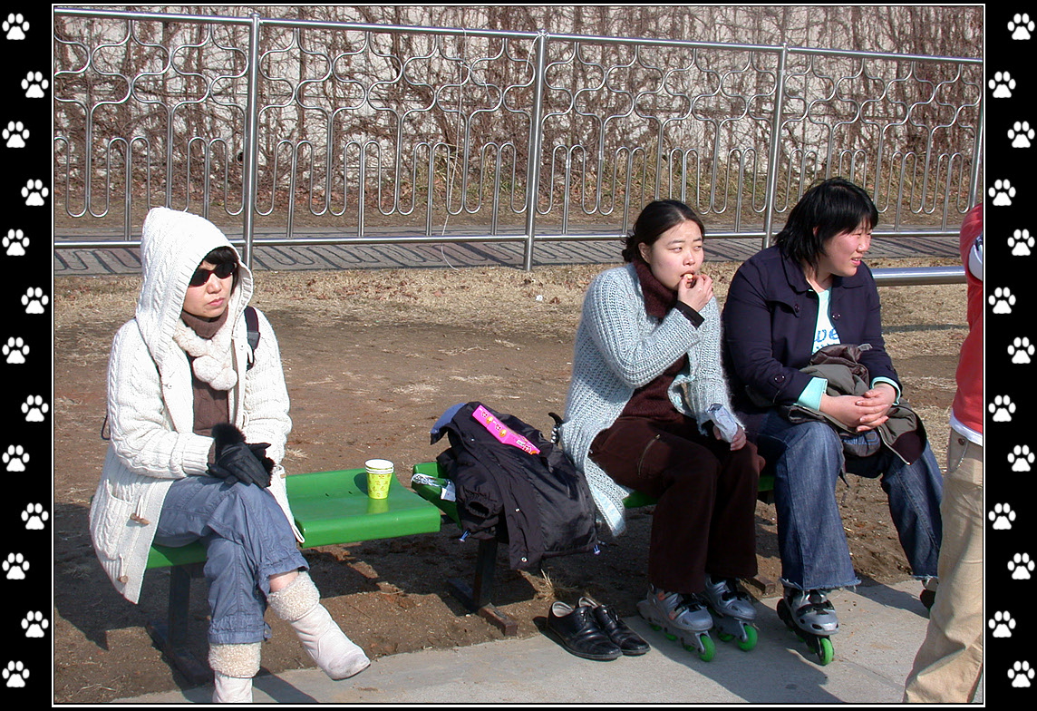 DSCN9271.jpg