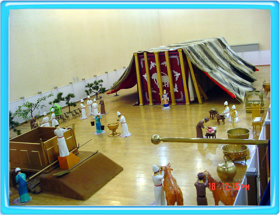 DSC01072.jpg