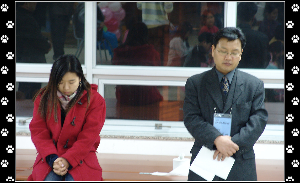 DSC07144.jpg