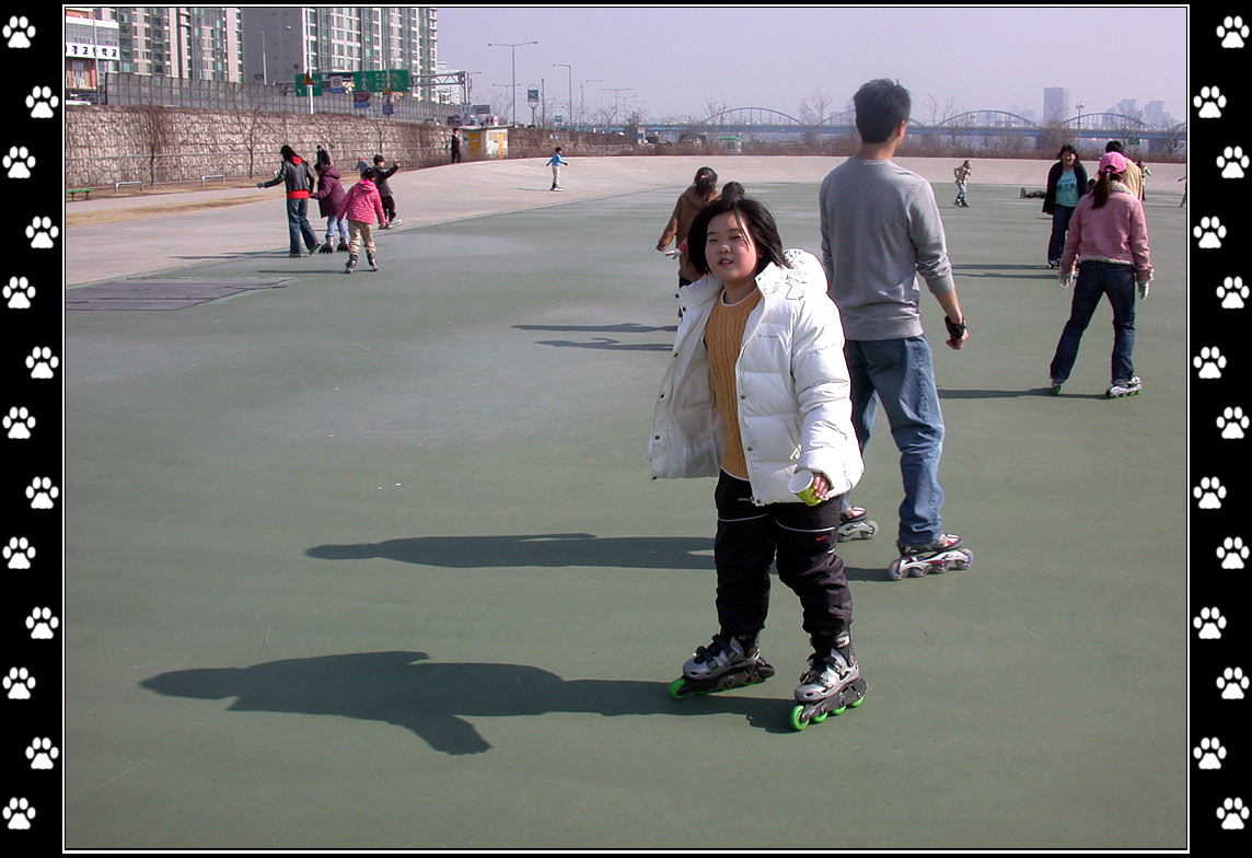 DSCN9241.jpg