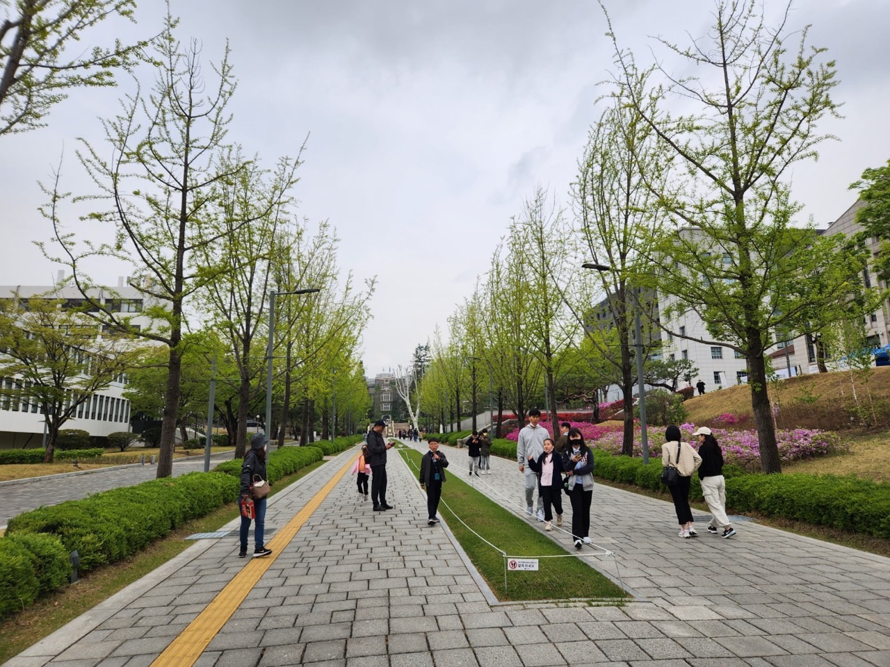 후암교회 초등부-2023년 예꿈문화교실 _기독교 올레길_ 2주차-50470826824.jpg