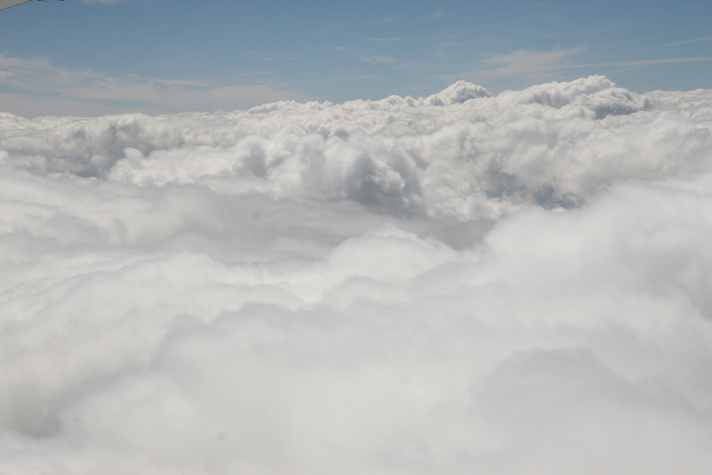 (최정현)2008-08-09-1419.JPG
