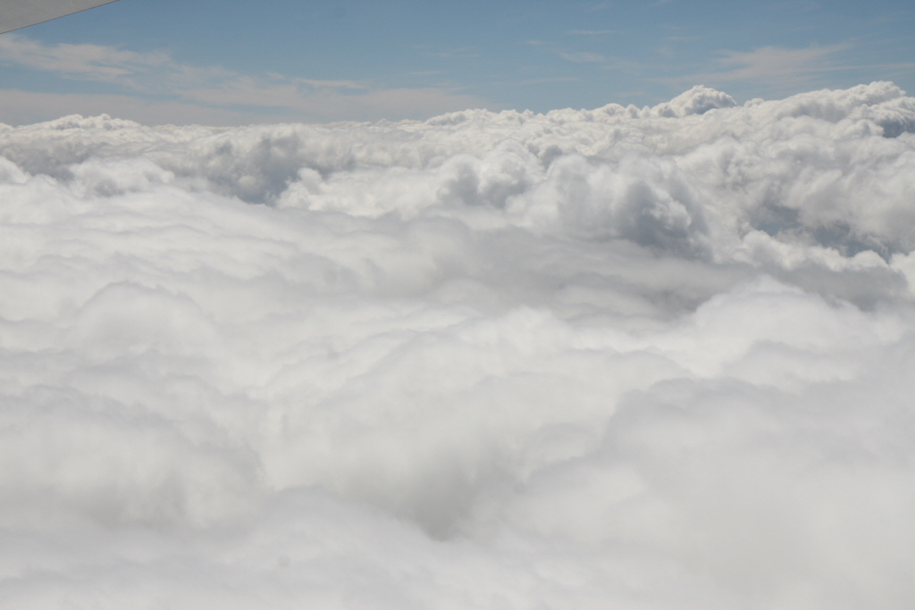 (최정현)2008-08-09-1420.JPG