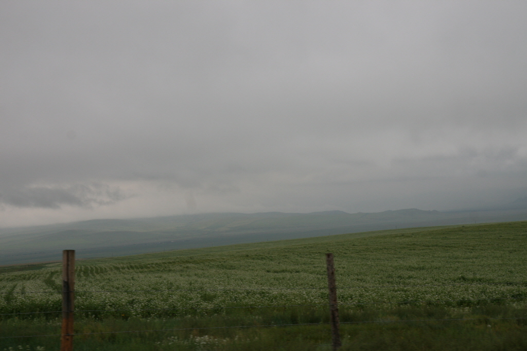 (최정현)2008-08-07-1032.JPG