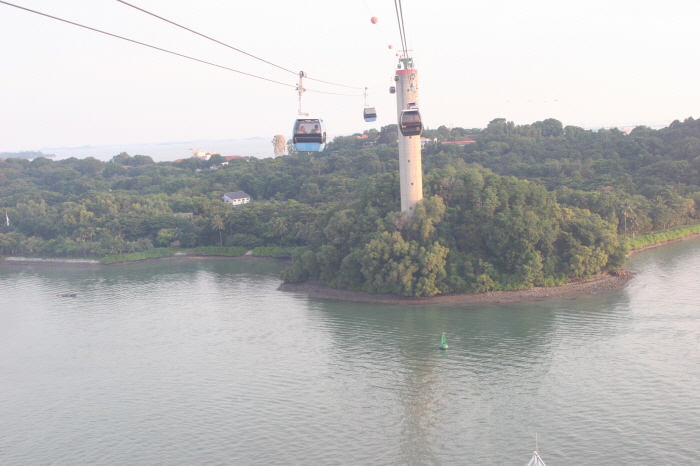 resize_IMG_7269.JPG