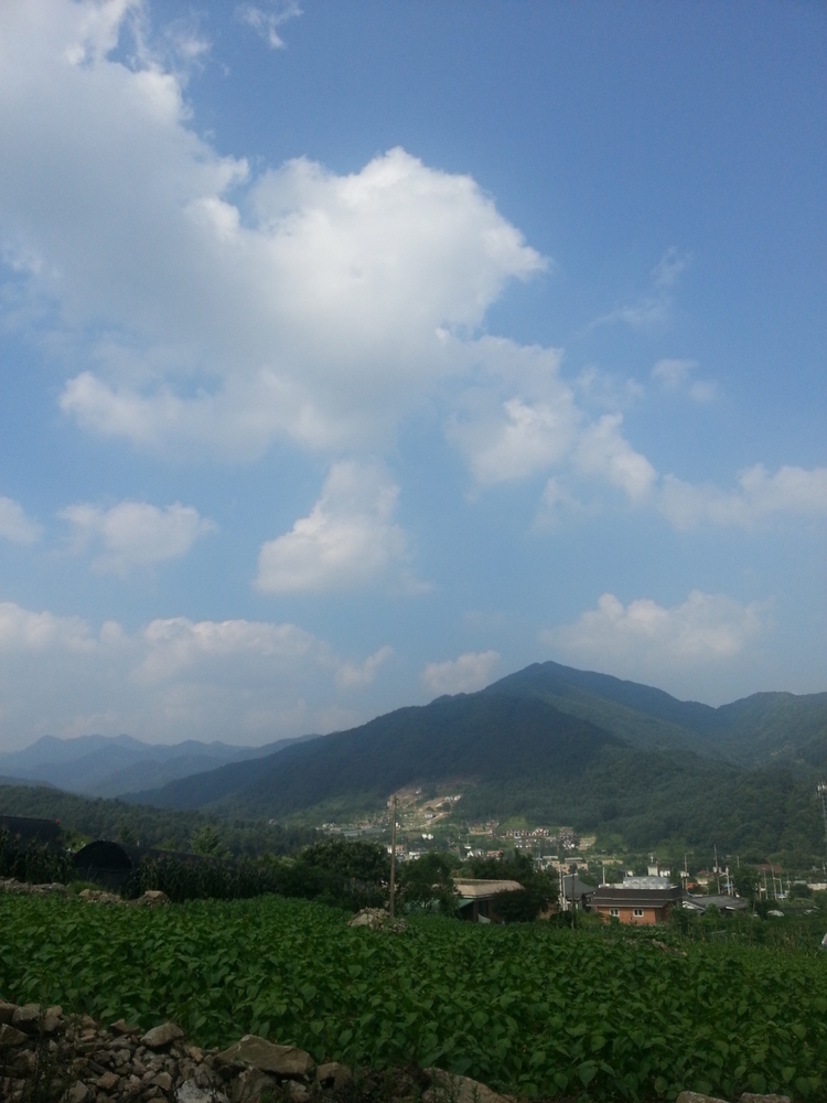 20120727_153251.jpg