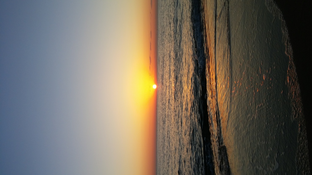 20141009_062944.jpg
