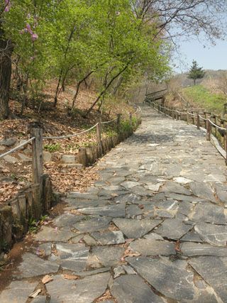 P4241595.JPG